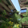 optima-camelview-7