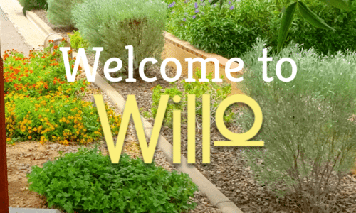 willo historic homes phoenix