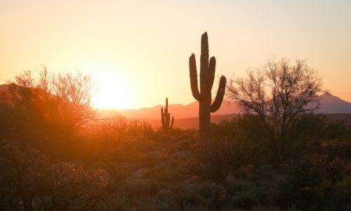 phoenix real estate market report march 2020